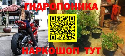 индика Наро-Фоминск