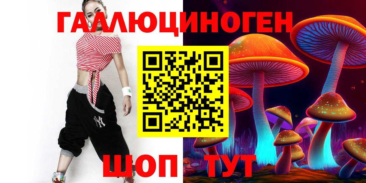 Псилоцибиновые грибы Psilocybe Строитель