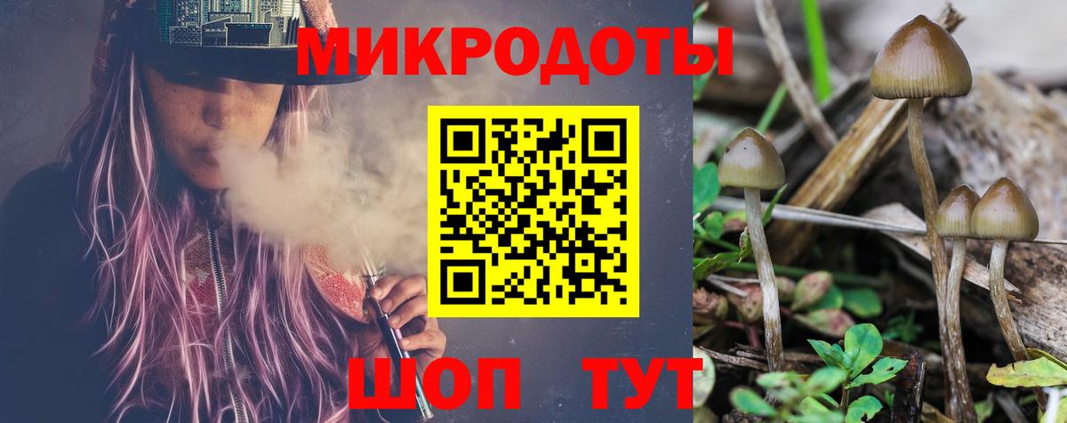 Строитель  Галлюциногенные грибы Psilocybine cubensis  Вход с VPN  Псилоцибиновые грибы Psilocybe 